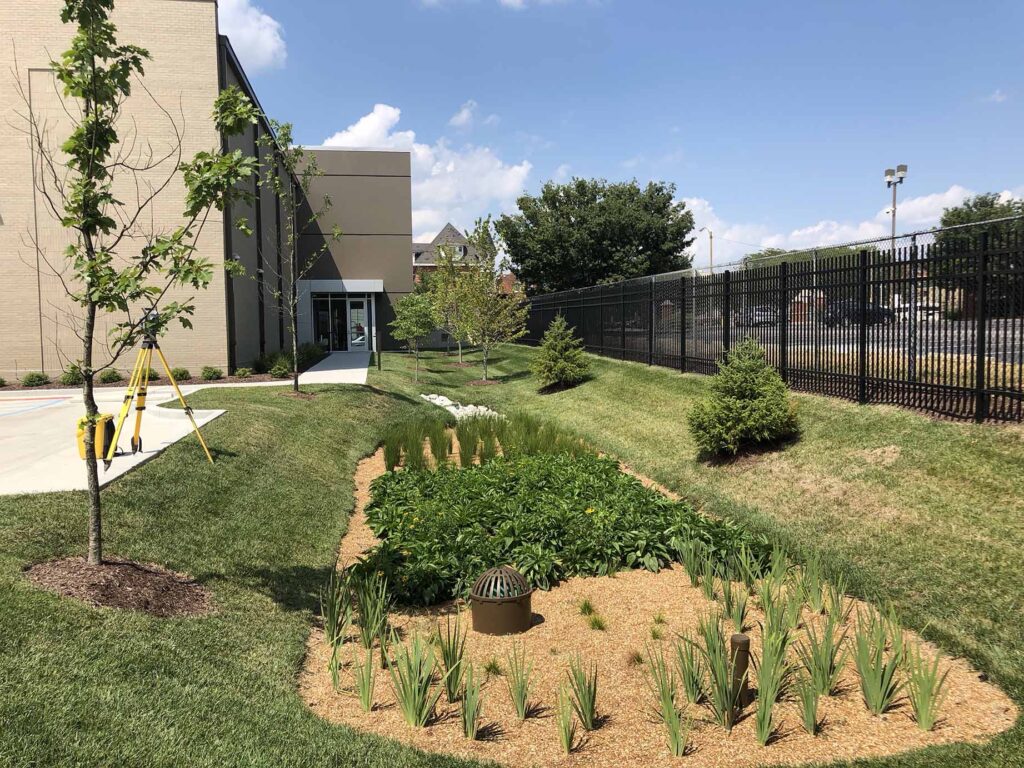 Sustainable Design - Bioretention Basins - Cole & Associates